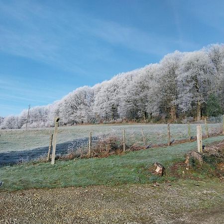 Gîte en lisière de forêt andaine Perrou Exterior foto