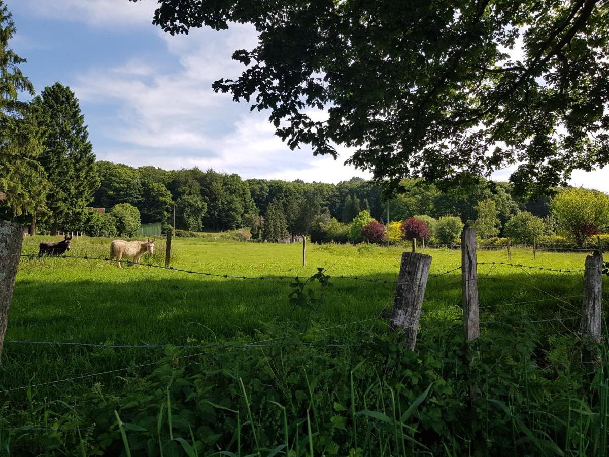 Gîte en lisière de forêt andaine Perrou Exterior foto