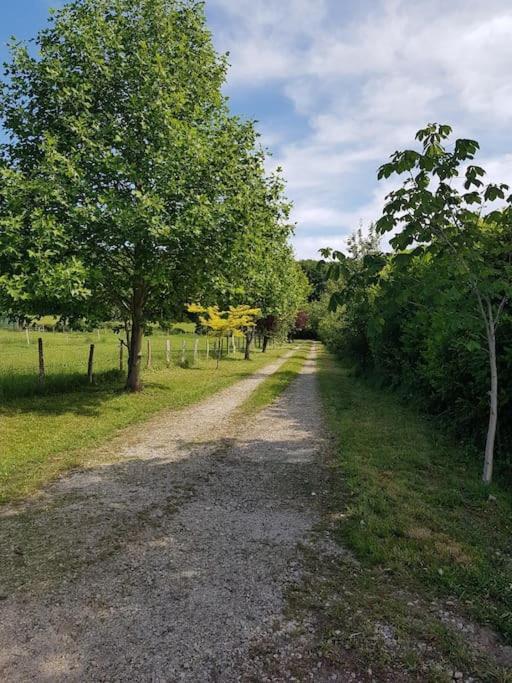 Gîte en lisière de forêt andaine Perrou Exterior foto