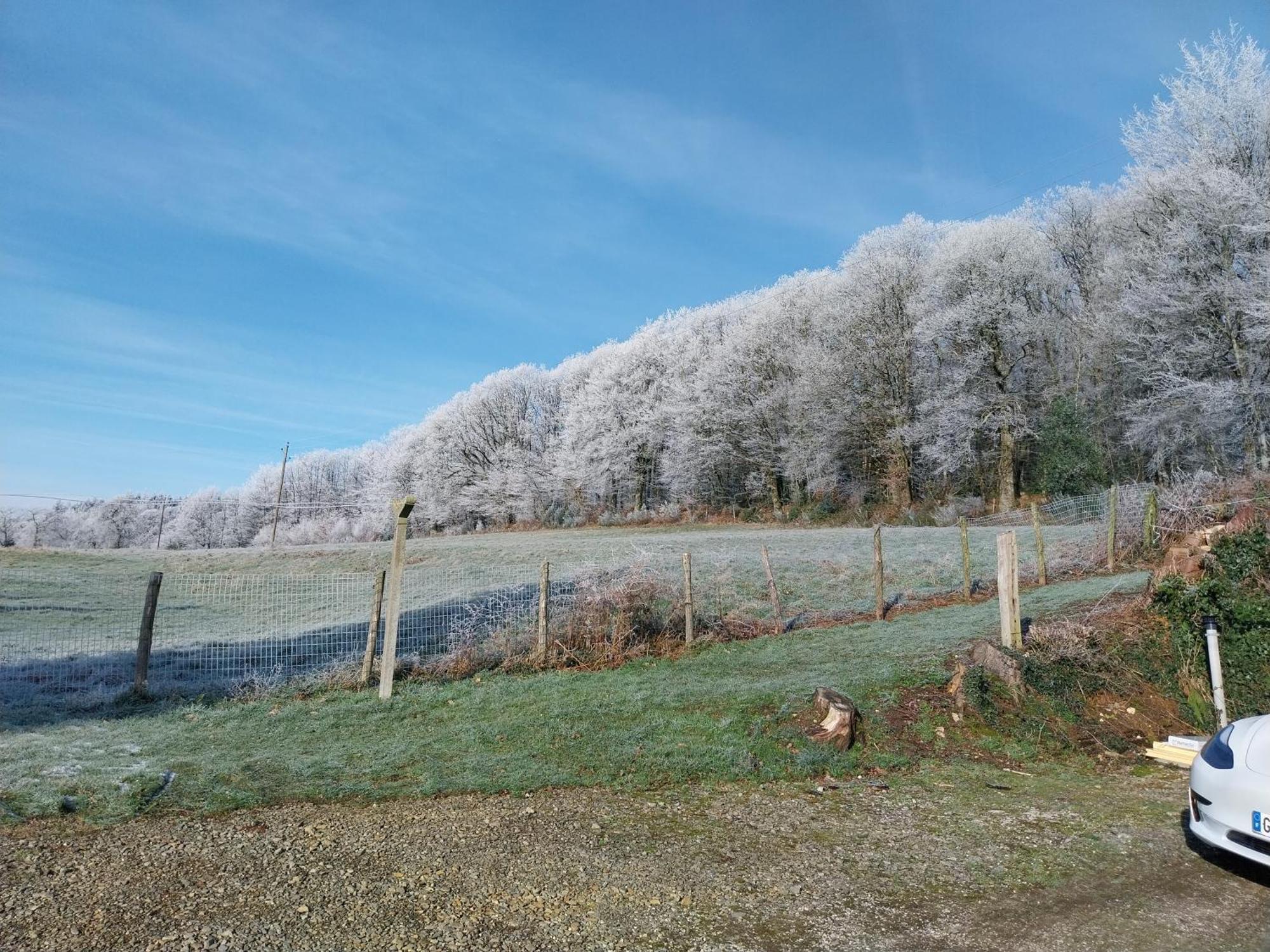 Gîte en lisière de forêt andaine Perrou Exterior foto